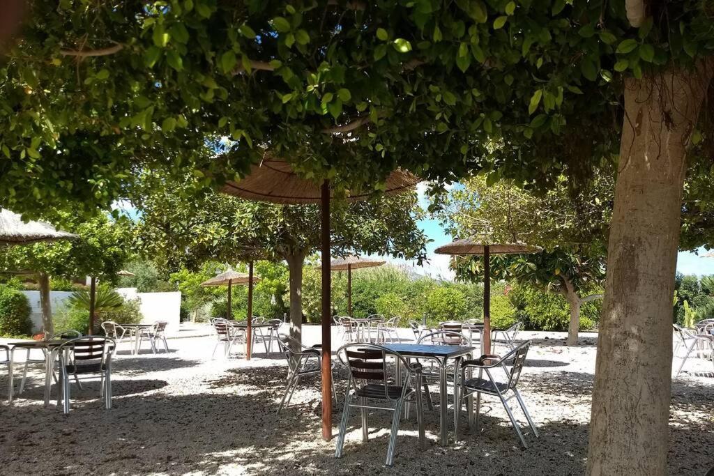 Beachfront Apt! Ac - Pool - Parking Apartment Altea Exterior photo